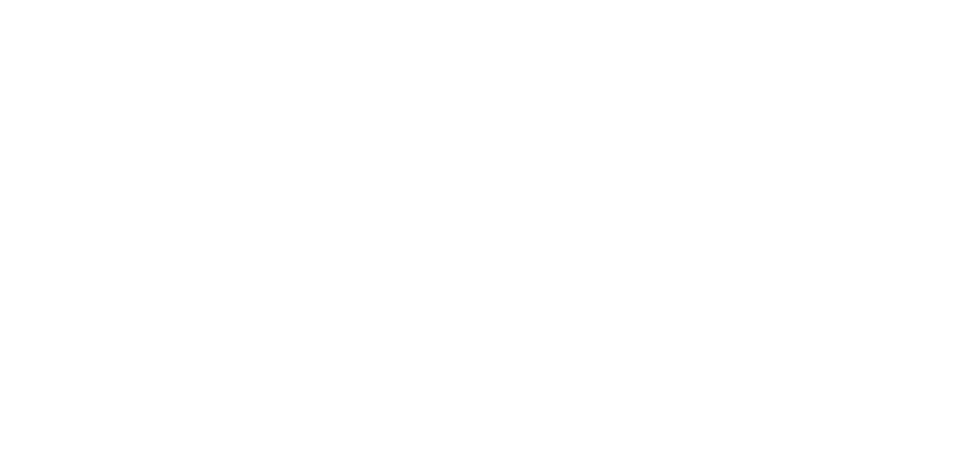 achovoy-arrea-logo-main